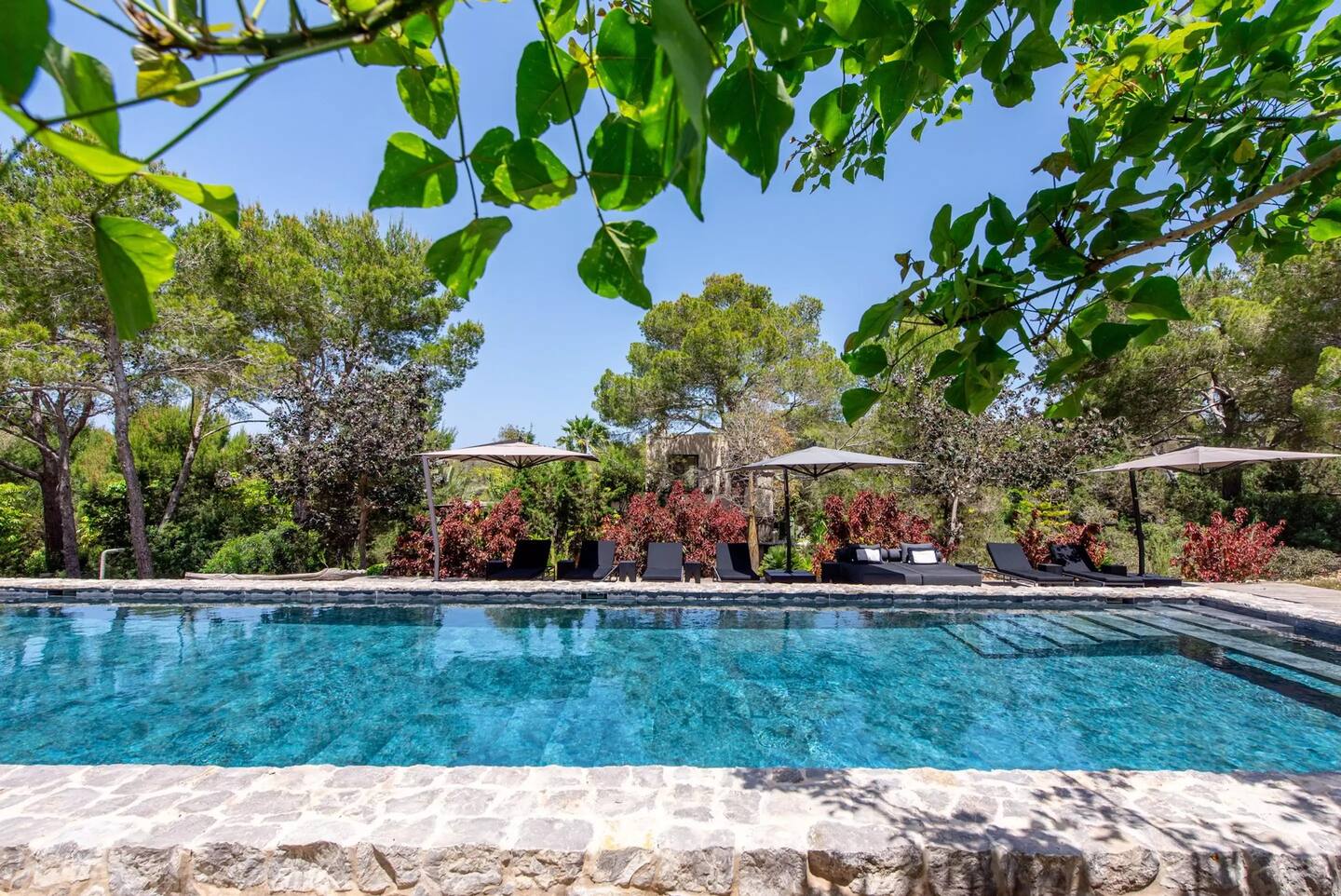 The Serenico Villa