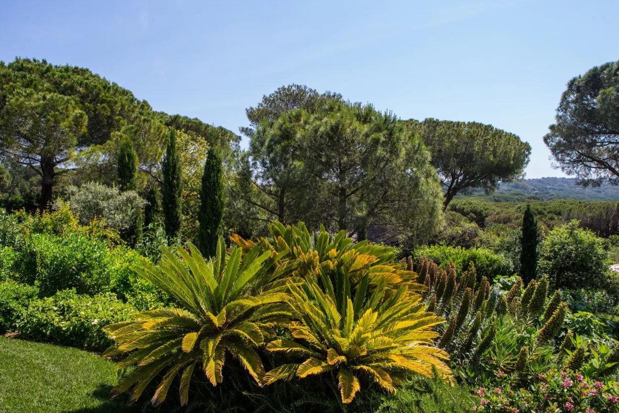 The Leora Villa