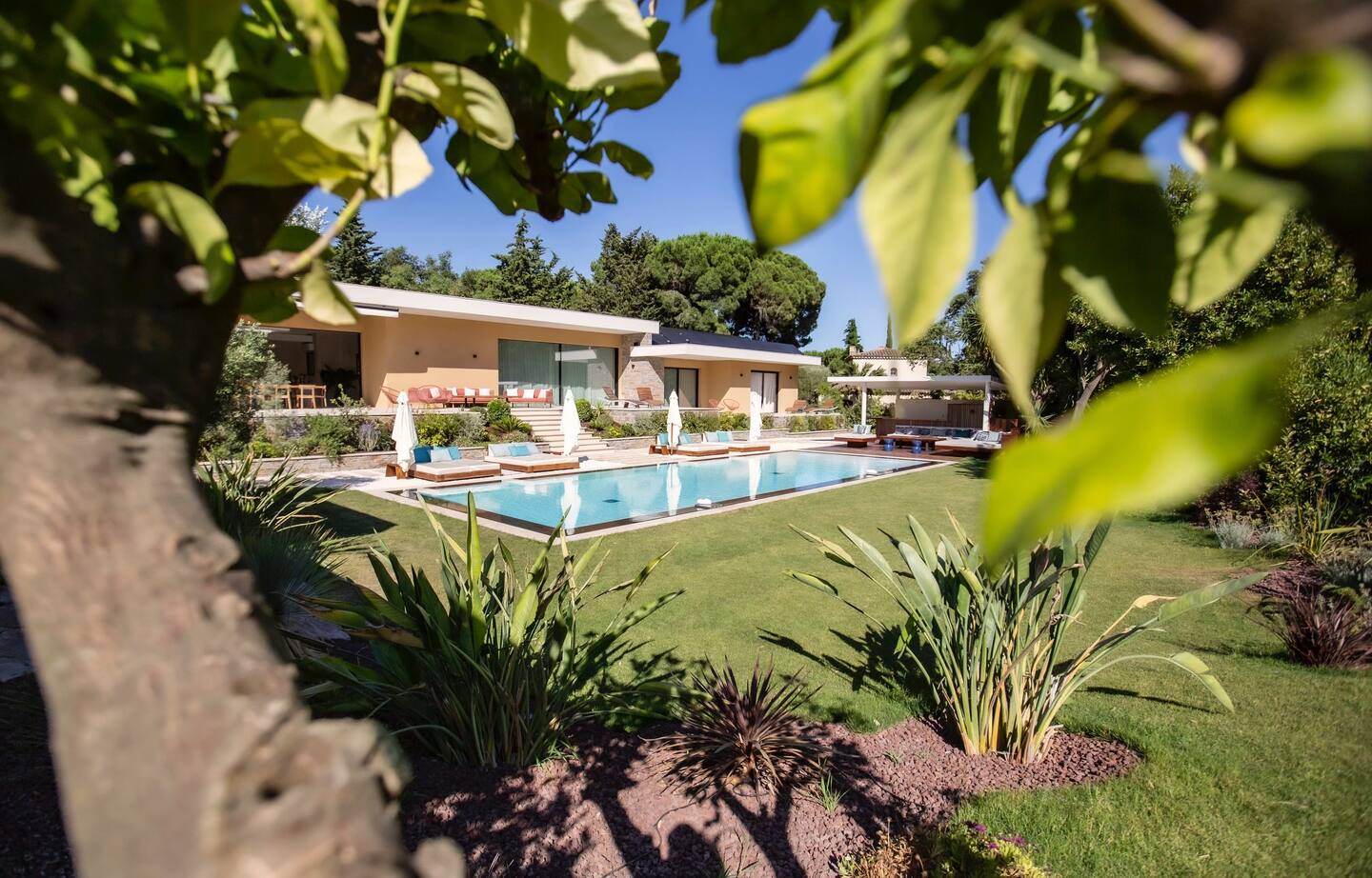 The Alga Villa