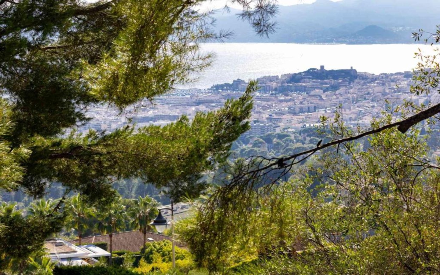 The Cari Villa